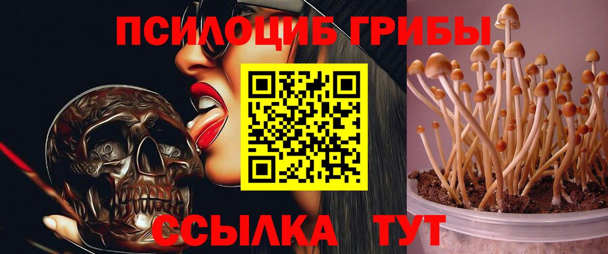 Тимашёвск  наркота  Вход с VPN  Галлюциногенные грибы MAGIC MUSHROOMS  Галлюциногенные грибы Magic Shrooms 
