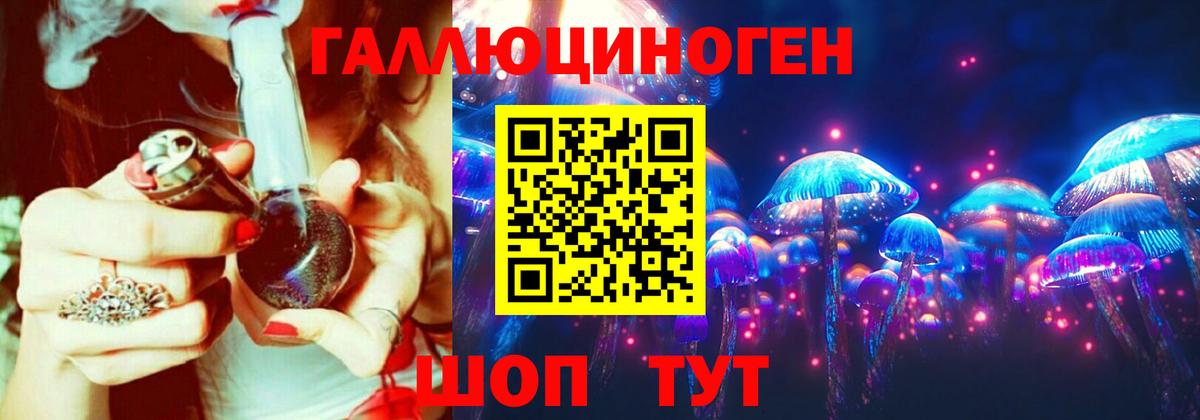 Псилоцибиновые грибы GOLDEN TEACHER Тимашёвск