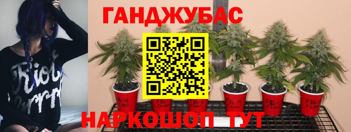 Тимашёвск  Конопля MAZAR  Канабис семена  Вход с VPN  Марихуана гибрид 