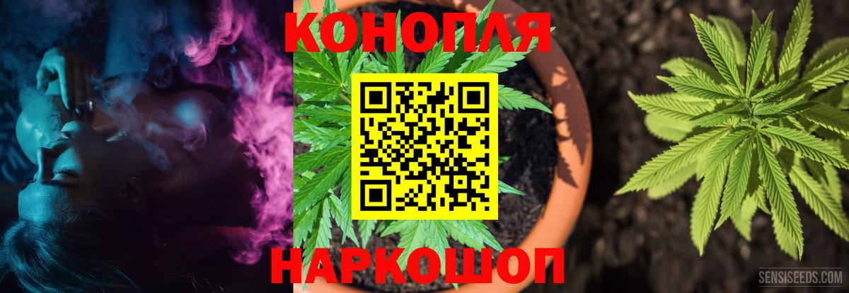 Бошки Шишки марихуана Тимашёвск
